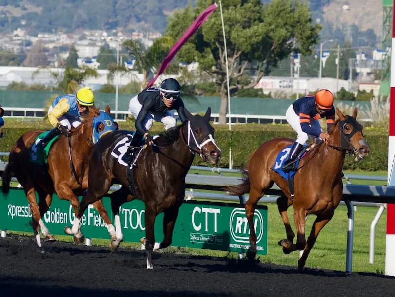 Cá cược đua ngựa FANVIP: Luật chơi, kèo cược và mẹo hay 4 đánh giá kỹ năng lực nài ngựa